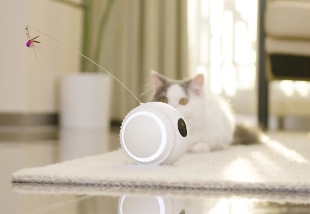 robot camera for pets