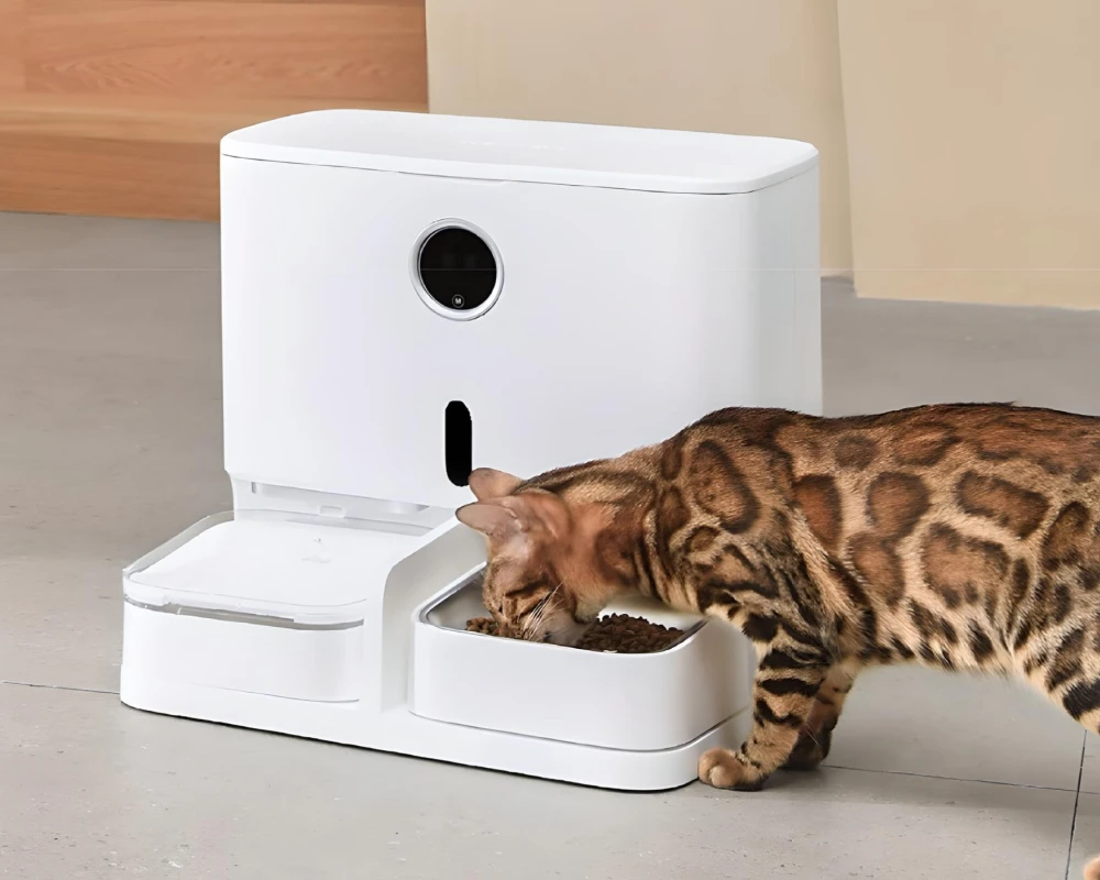 pet automatic food dispenser