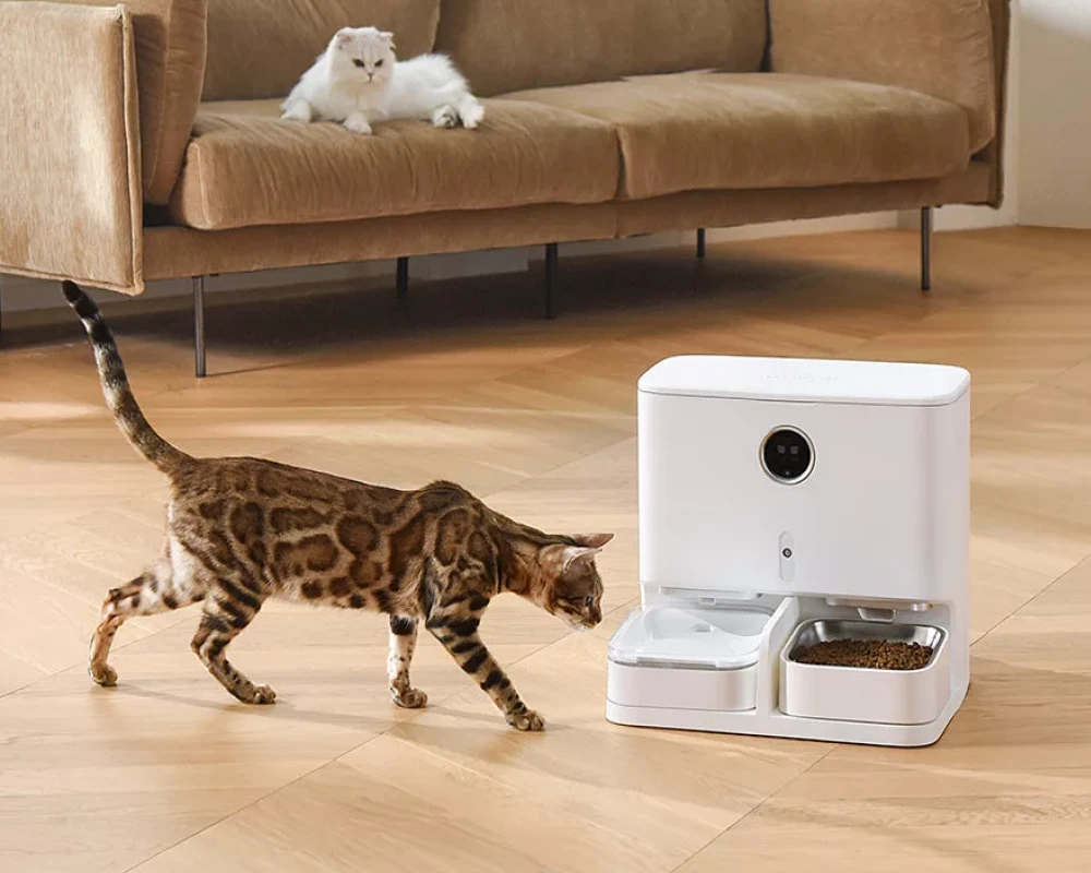 automatic food feeder for dogs